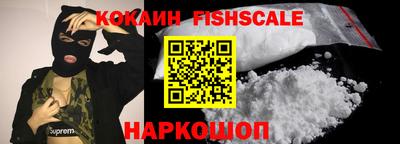 гидра Будённовск