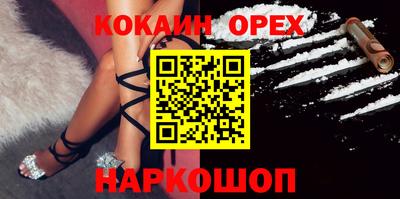 гидра Будённовск