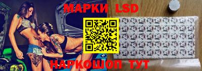 гидра Будённовск