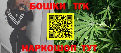 гидра Будённовск